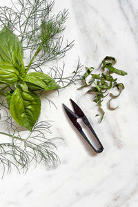 Fresh snips of herbs and a chiffonade of basil, next to pruning snips for herbs.